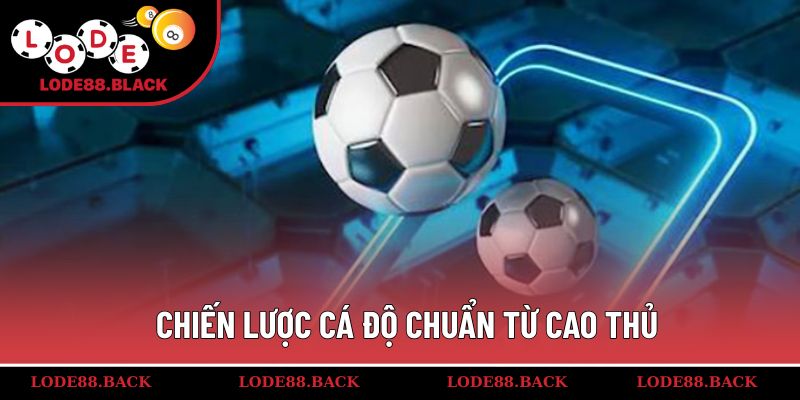 Chiến lược cá độ chuẩn từ cao thủ