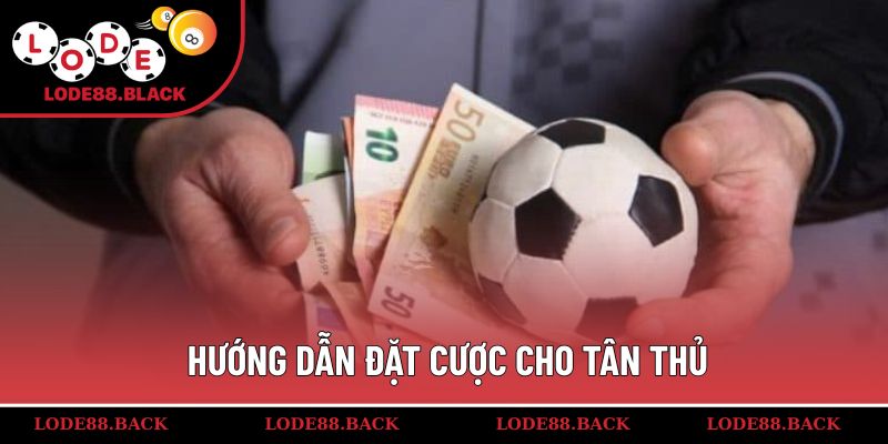 Hướng dẫn đặt cược cho tân thủ
