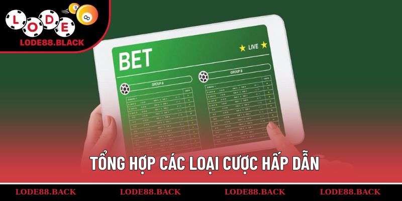 Tổng hợp các loại cược hấp dẫn