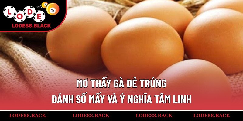 Mơ thấy gà đẻ trứng đánh số mấy và ý nghĩa tâm linh