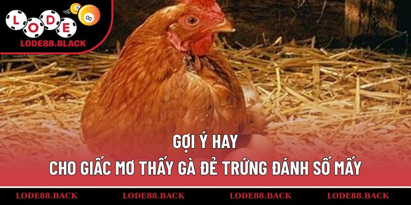 Gợi ý hay cho giấc mơ thấy gà đẻ trứng đánh số mấy