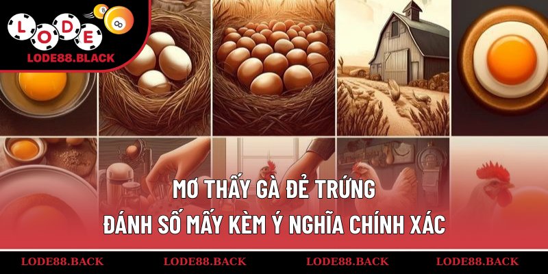 Mơ thấy gà đẻ trứng đánh số mấy kèm ý nghĩa chính xác