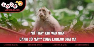 mo-thay-khi-vao-nha-danh-so-may