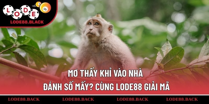 mo-thay-khi-vao-nha-danh-so-may