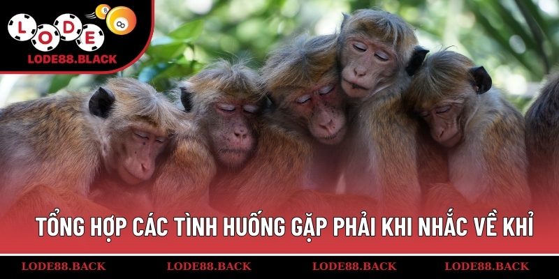 Tổng hợp các tình huống gặp phải khi nhắc về khỉ