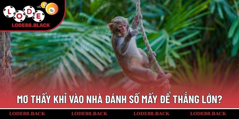 Mơ thấy khỉ vào nhà đánh số mấy để thắng lớn?