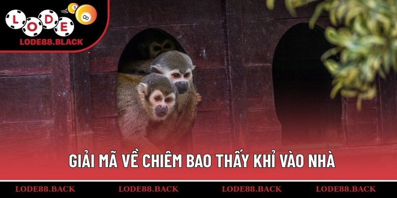 Giải mã về chiêm bao thấy khỉ vào nhà