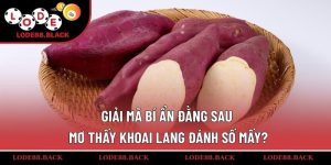 mo-thay-khoai-lang-danh-so-may