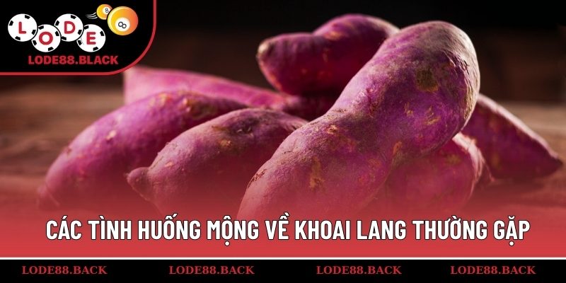 Các tình huống mộng về khoai lang thường gặp