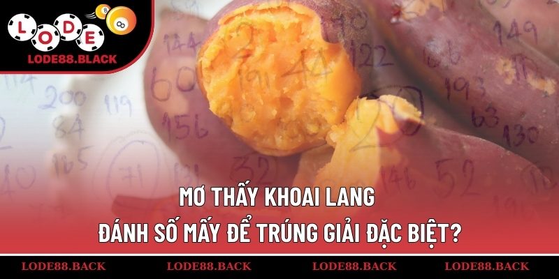 Mơ thấy khoai lang đánh số mấy để trúng giải đặc biệt?