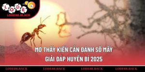 mo-thay-kien-can-danh-so-may