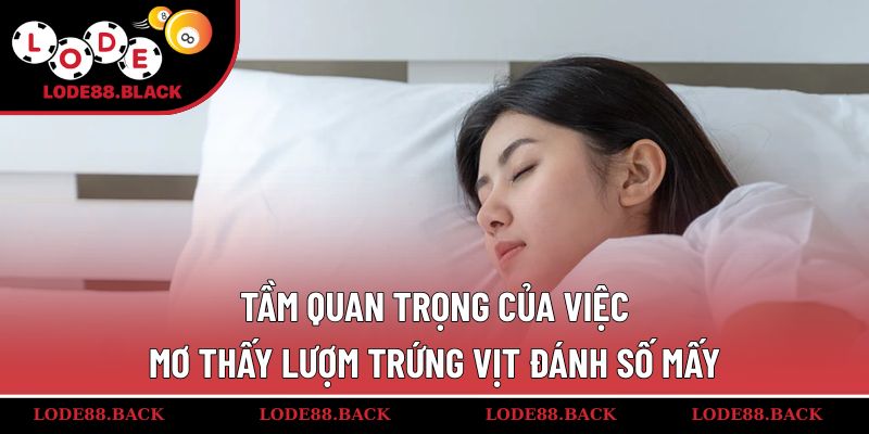 Tầm quan trọng của việc mơ thấy lượm trứng vịt đánh số mấy