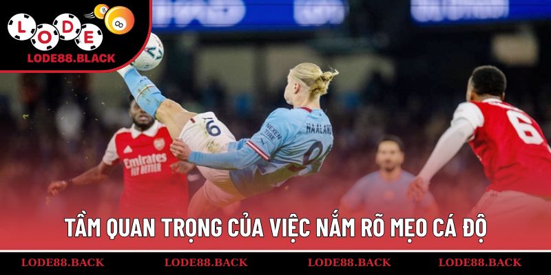 Tầm quan trọng của việc nắm rõ mẹo cá độ