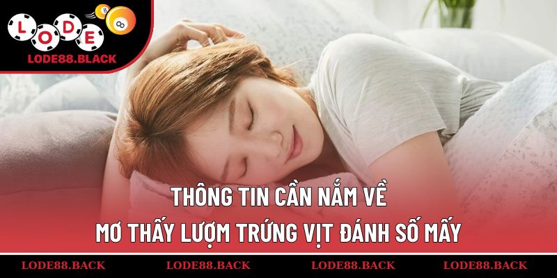 Thông tin cần nắm về mơ thấy lượm trứng vịt đánh số mấy