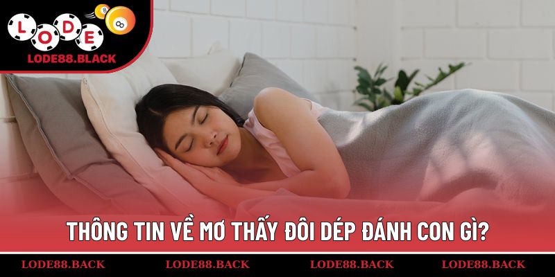 Thông tin về mơ thấy đôi dép đánh con gì?